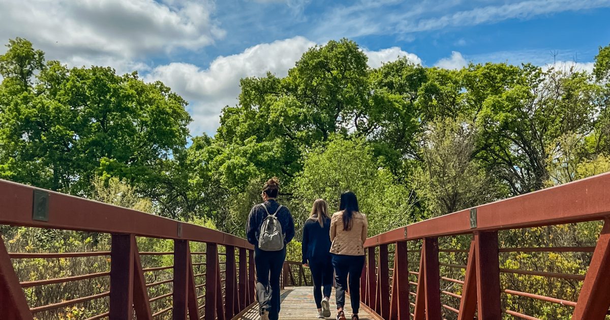 Elk Grove Itineraries: Plan Your Perfect Trip