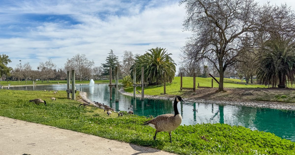 Outdoor Activities - Parks, Trails, and Nature Adventures in Elk Grove