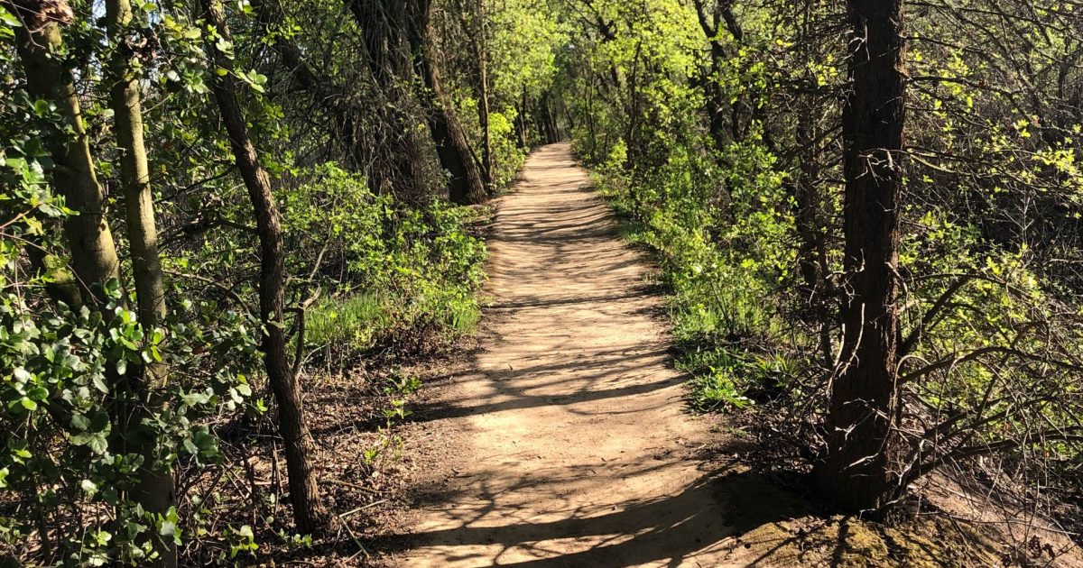 Hiking Explore Elk Grove