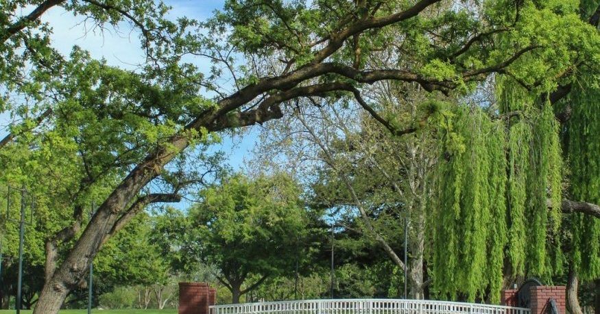 Parks | Explore Elk Grove