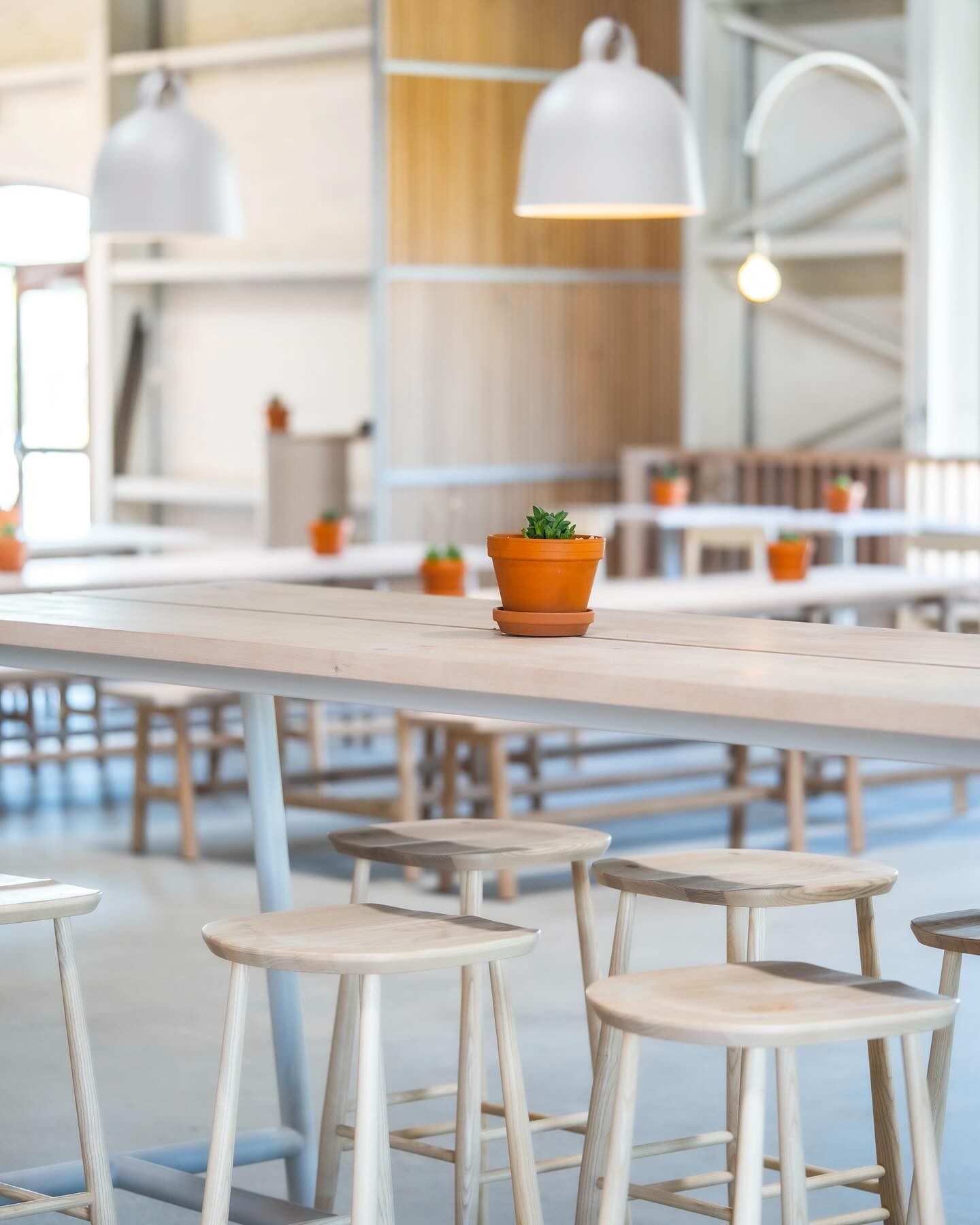 Slow & Low Explore Elk Grove